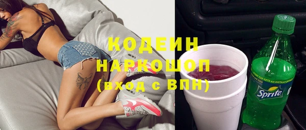 ГАЛЛЮЦИНОГЕННЫЕ ГРИБЫ Арсеньев