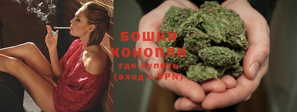 ГАЛЛЮЦИНОГЕННЫЕ ГРИБЫ Арсеньев