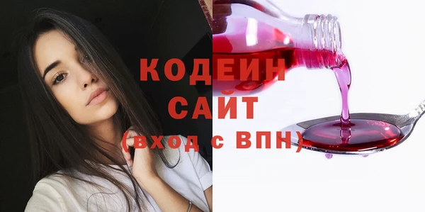 ГАЛЛЮЦИНОГЕННЫЕ ГРИБЫ Арсеньев
