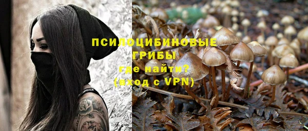 стафф Армянск